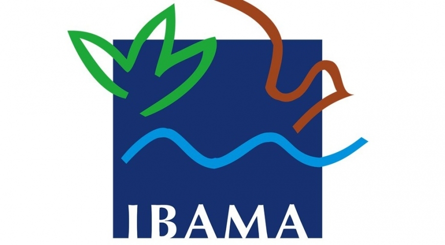 Ibama divulga resultado preliminar do Programa de Conversão de Multas Ambientais