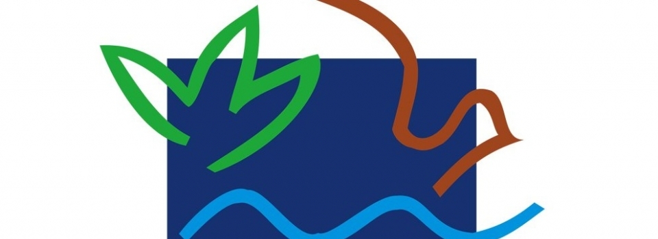 Ibama divulga resultado preliminar do Programa de Conversão de Multas Ambientais