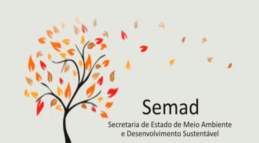Operação da SEMAD coíbe desmatamento no Estado de Minas Gerais